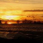 Sonnenuntergang über den Spargelfeldern von Kirchhellen