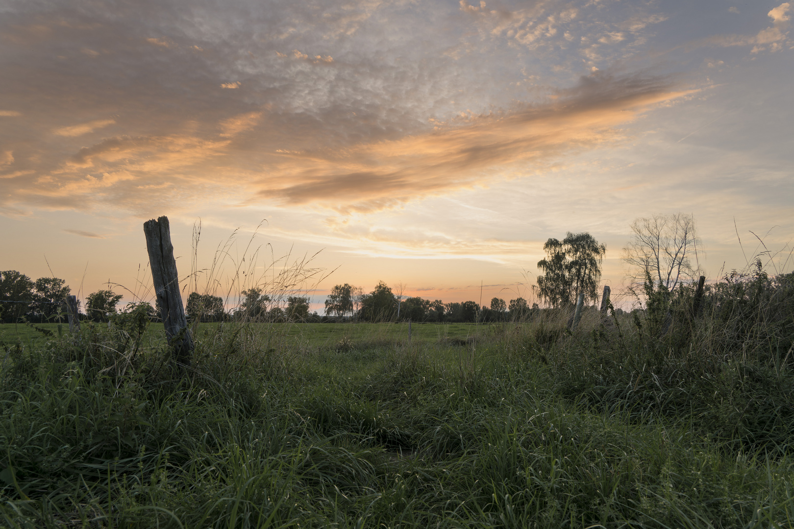 Sonnenuntergang über den Weideflächen