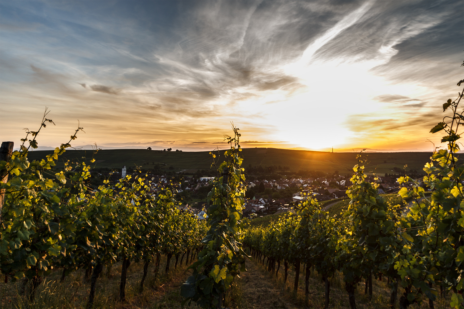 Sonnenuntergang über den Weinbergen