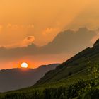 Sonnenuntergang über den Weinbergen in Nehren