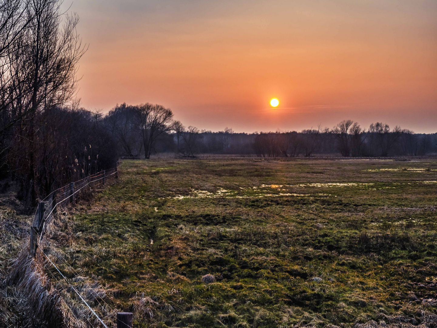 Sonnenuntergang über den Wiesen