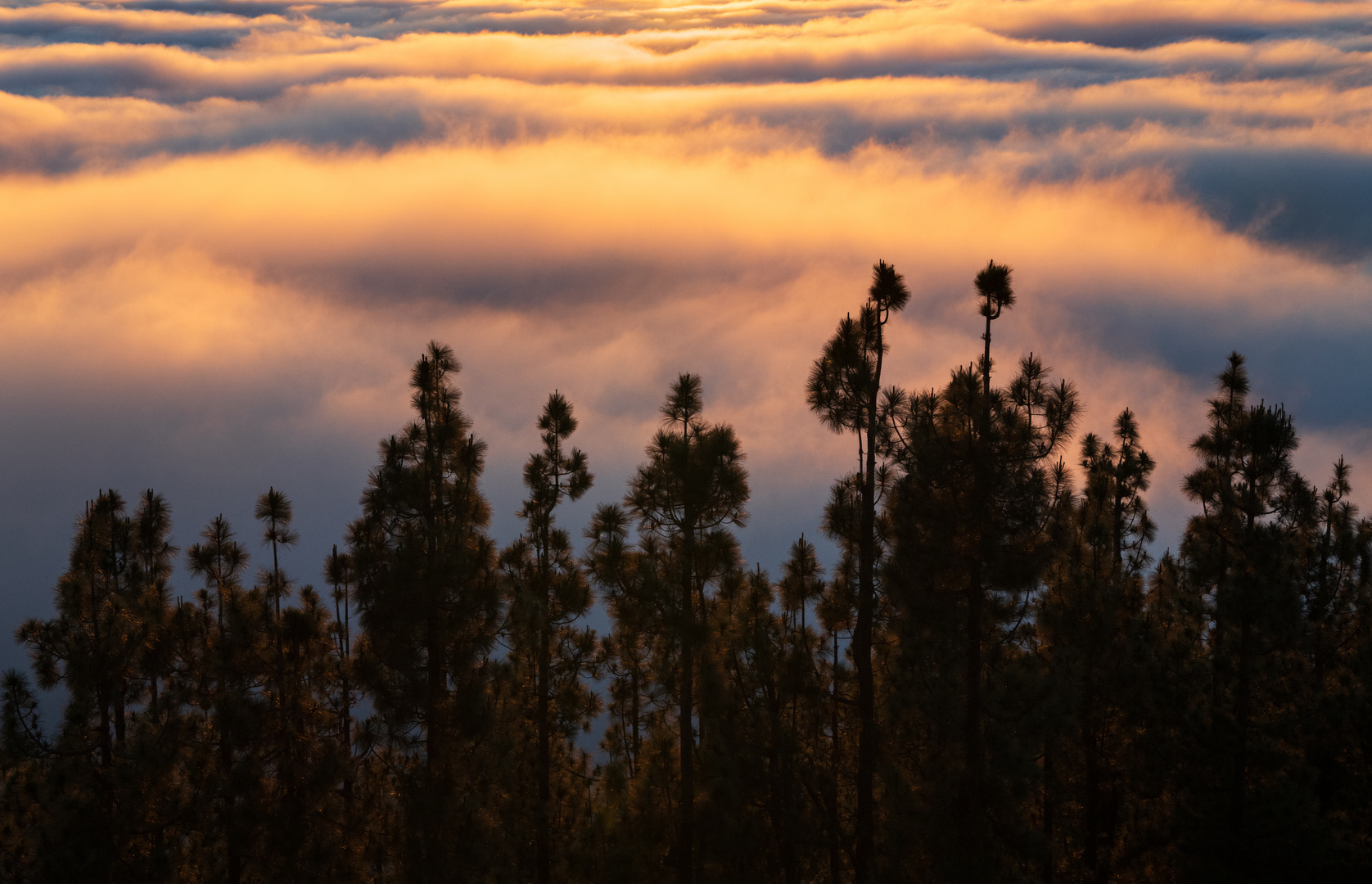 Sonnenuntergang über den Wolken, Teneriffa