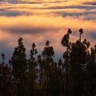 Sonnenuntergang über den Wolken, Teneriffa