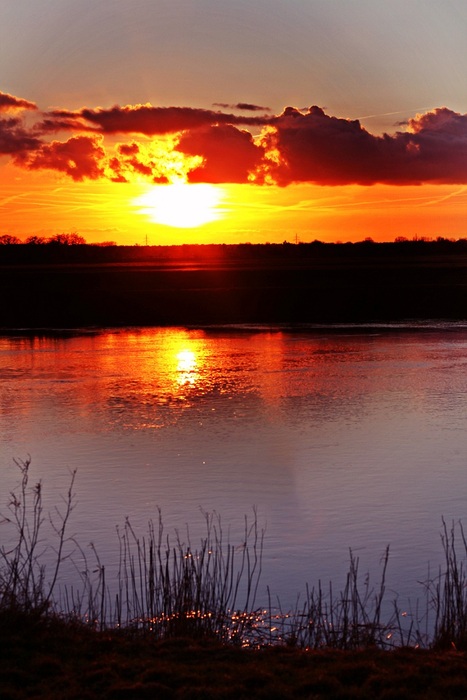 Sonnenuntergang über der Aller