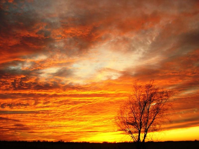 Sonnenuntergang über der Allermarsch