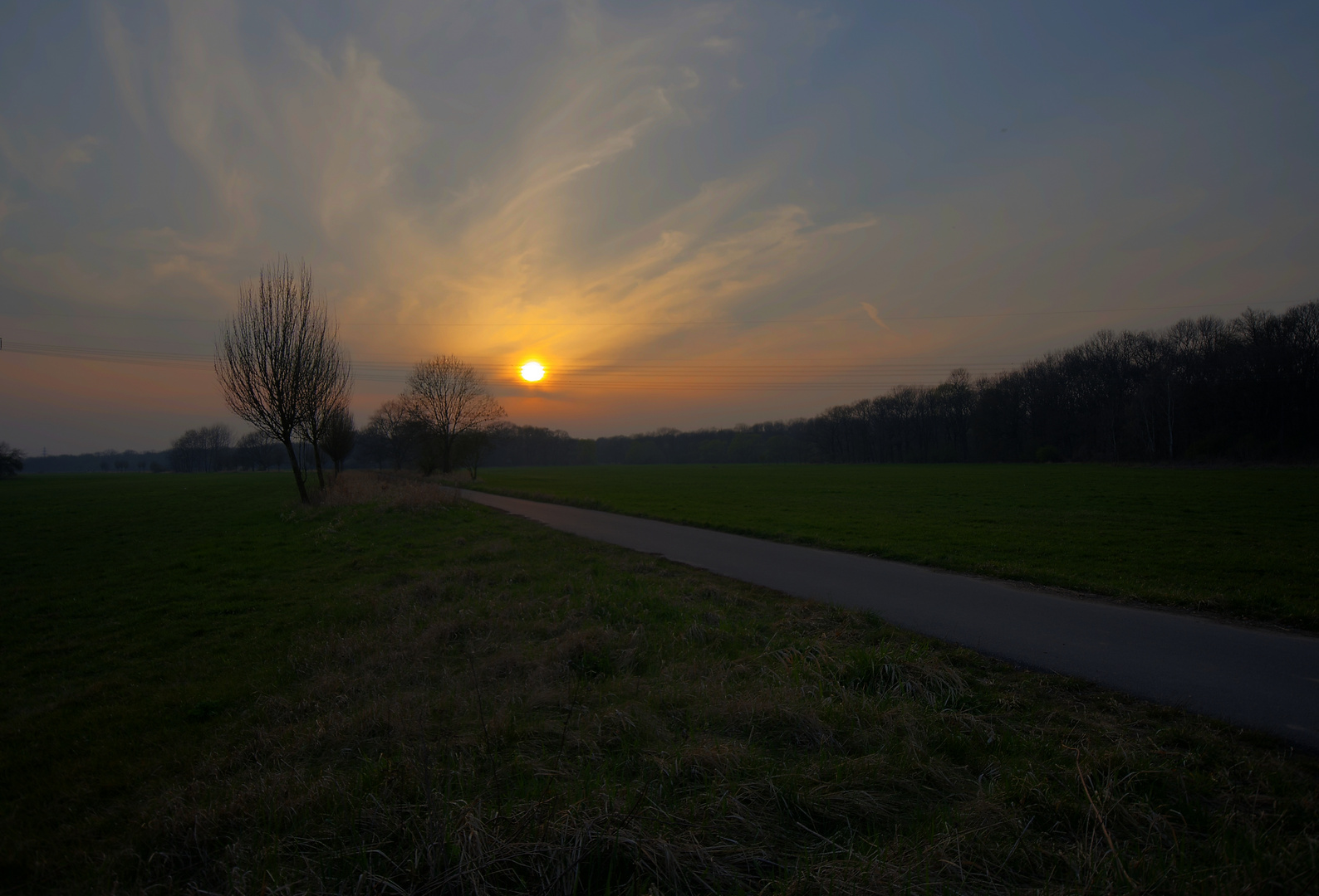 Sonnenuntergang über der Auenlandschaft 