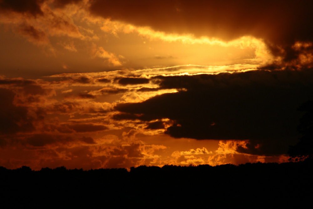 Sonnenuntergang über der Barger Heide in Stade