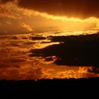 Sonnenuntergang über der Barger Heide in Stade