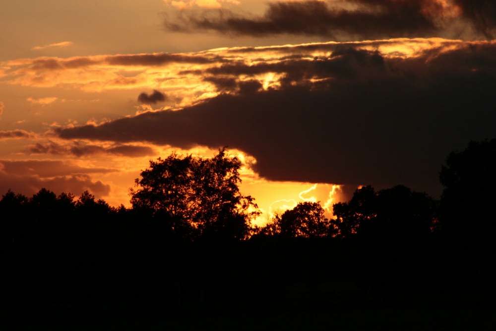 Sonnenuntergang über der Barger Heide in Stade Foto 2