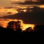 Sonnenuntergang über der Barger Heide in Stade Foto 2