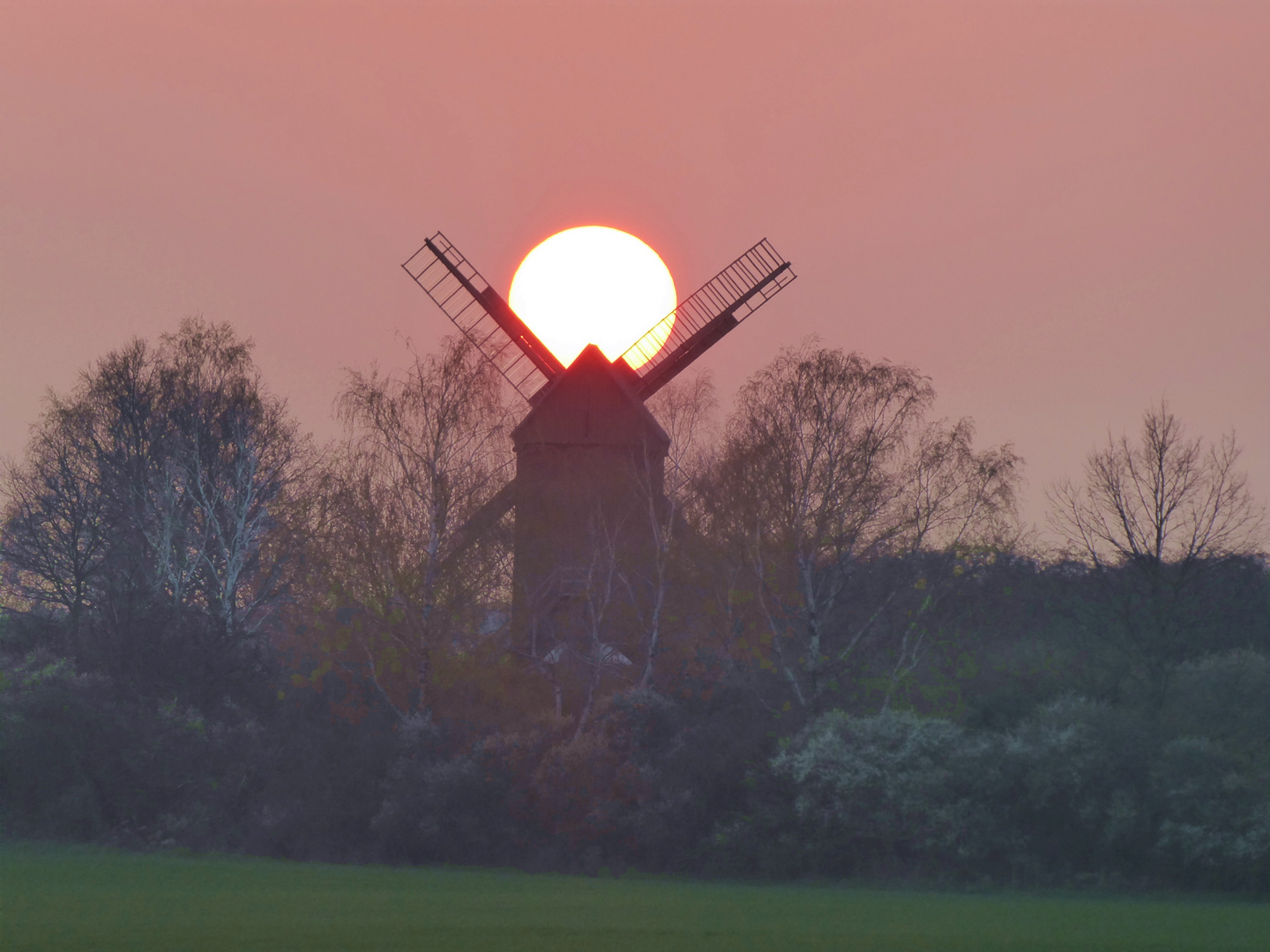 Sonnenuntergang über der Bockwindmühle in Borne