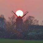 Sonnenuntergang über der Bockwindmühle in Borne