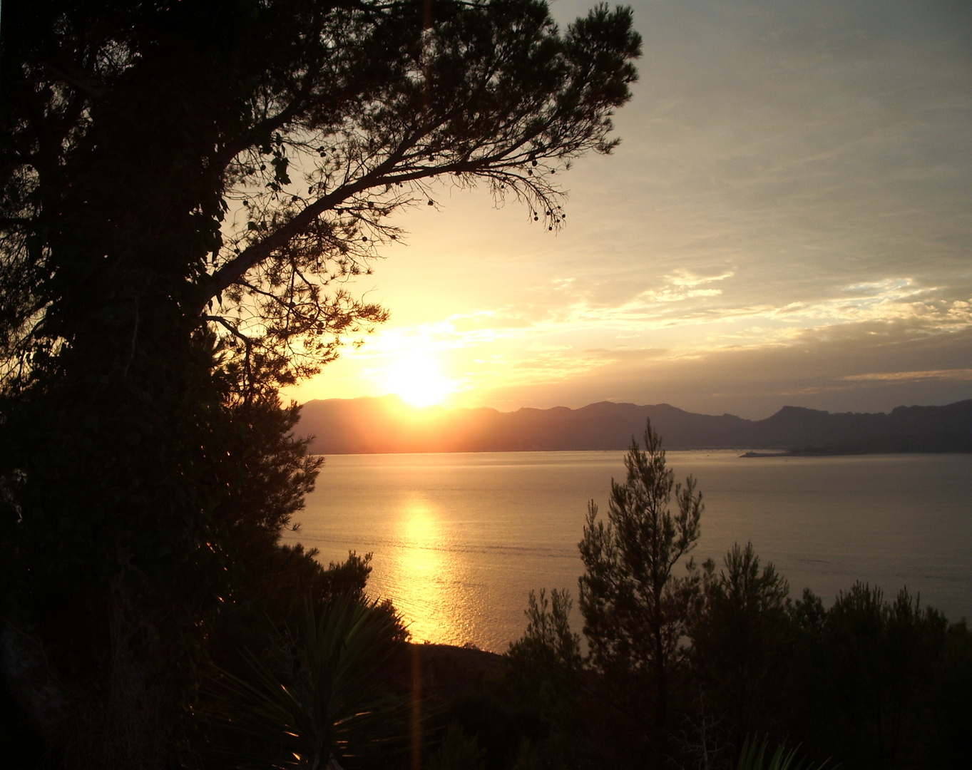 Sonnenuntergang über der Bucht von Pollensa