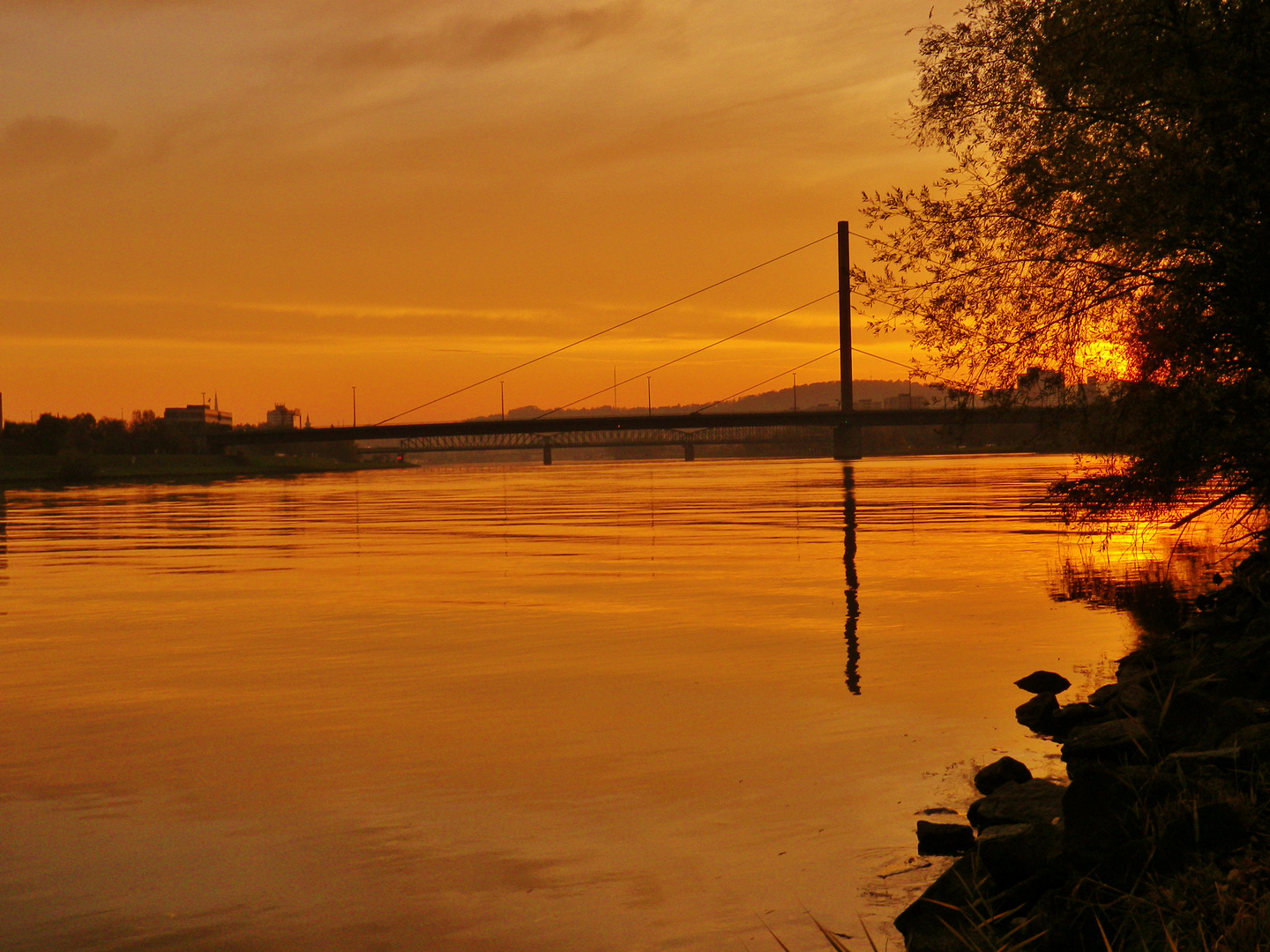 Sonnenuntergang über der Donau