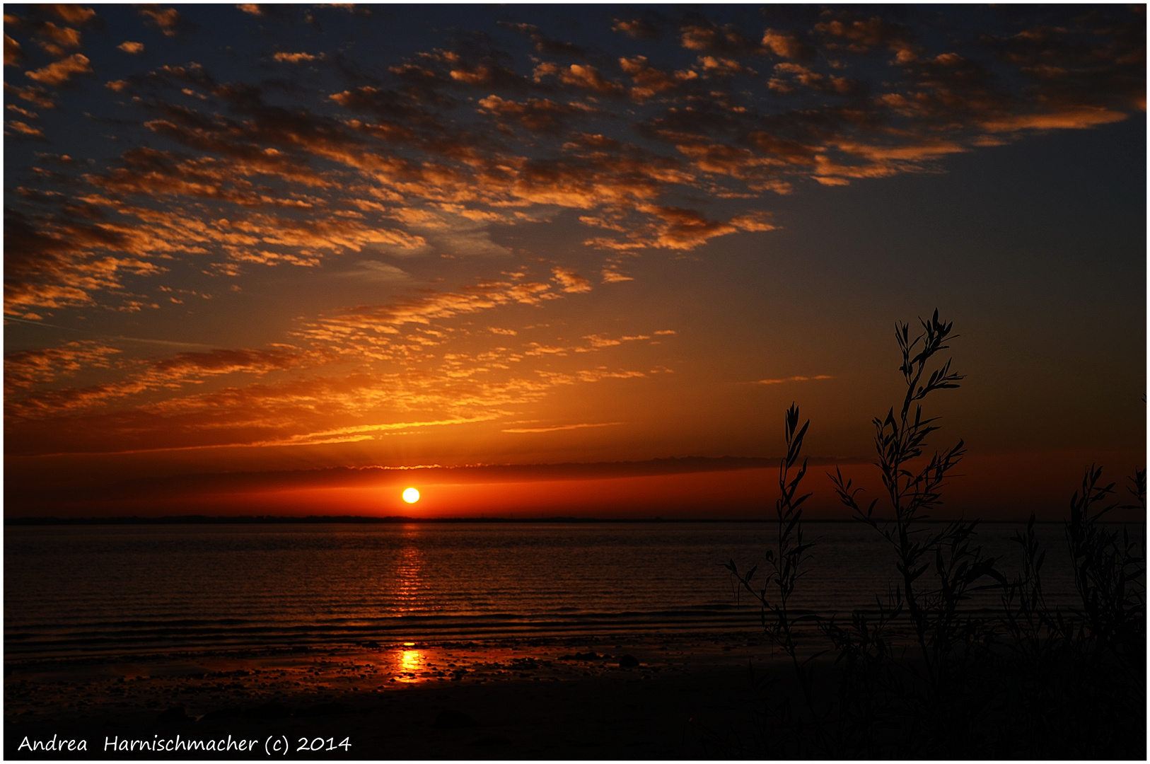 Sonnenuntergang über der Elbe