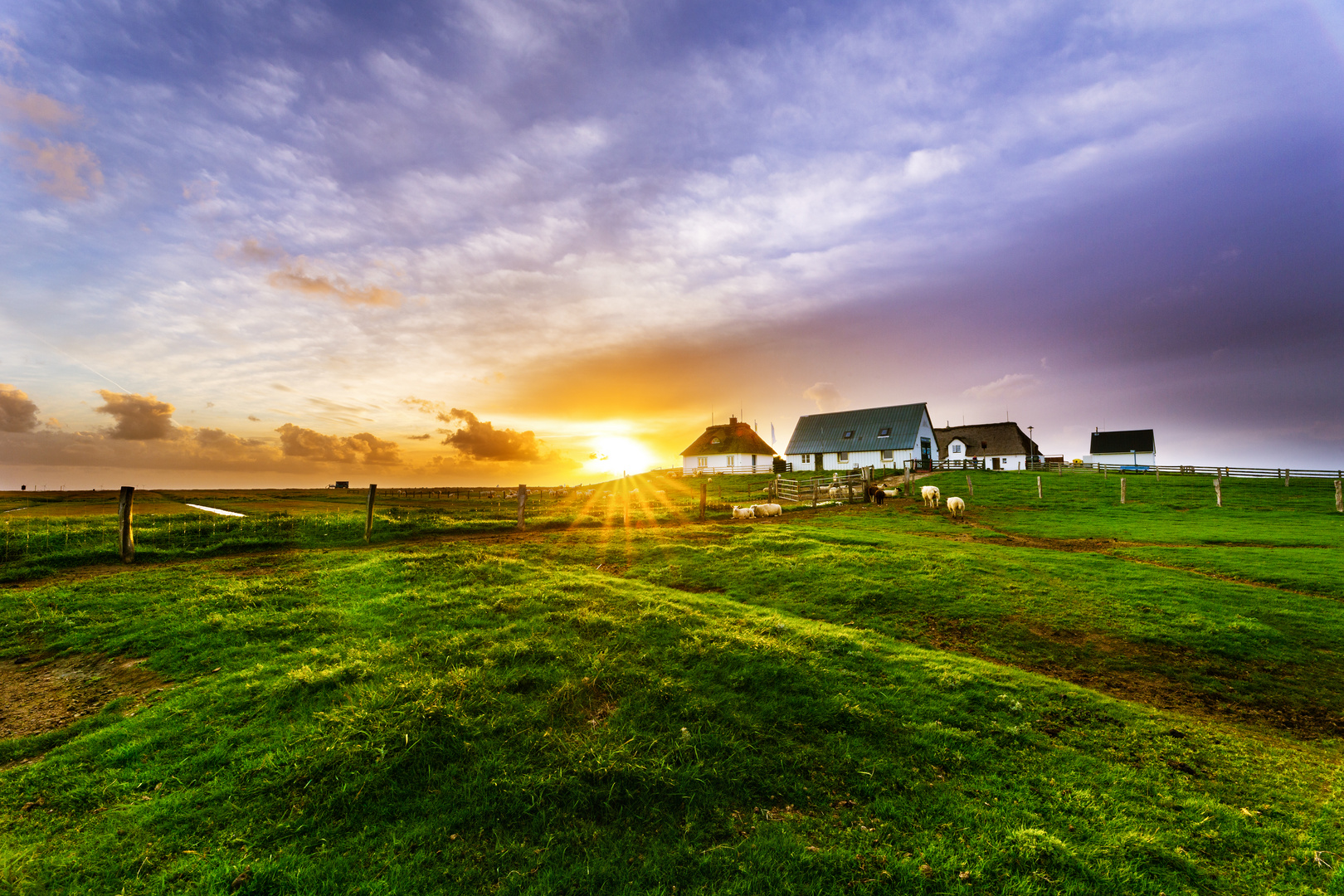 Sonnenuntergang über der Hamburger Hallig