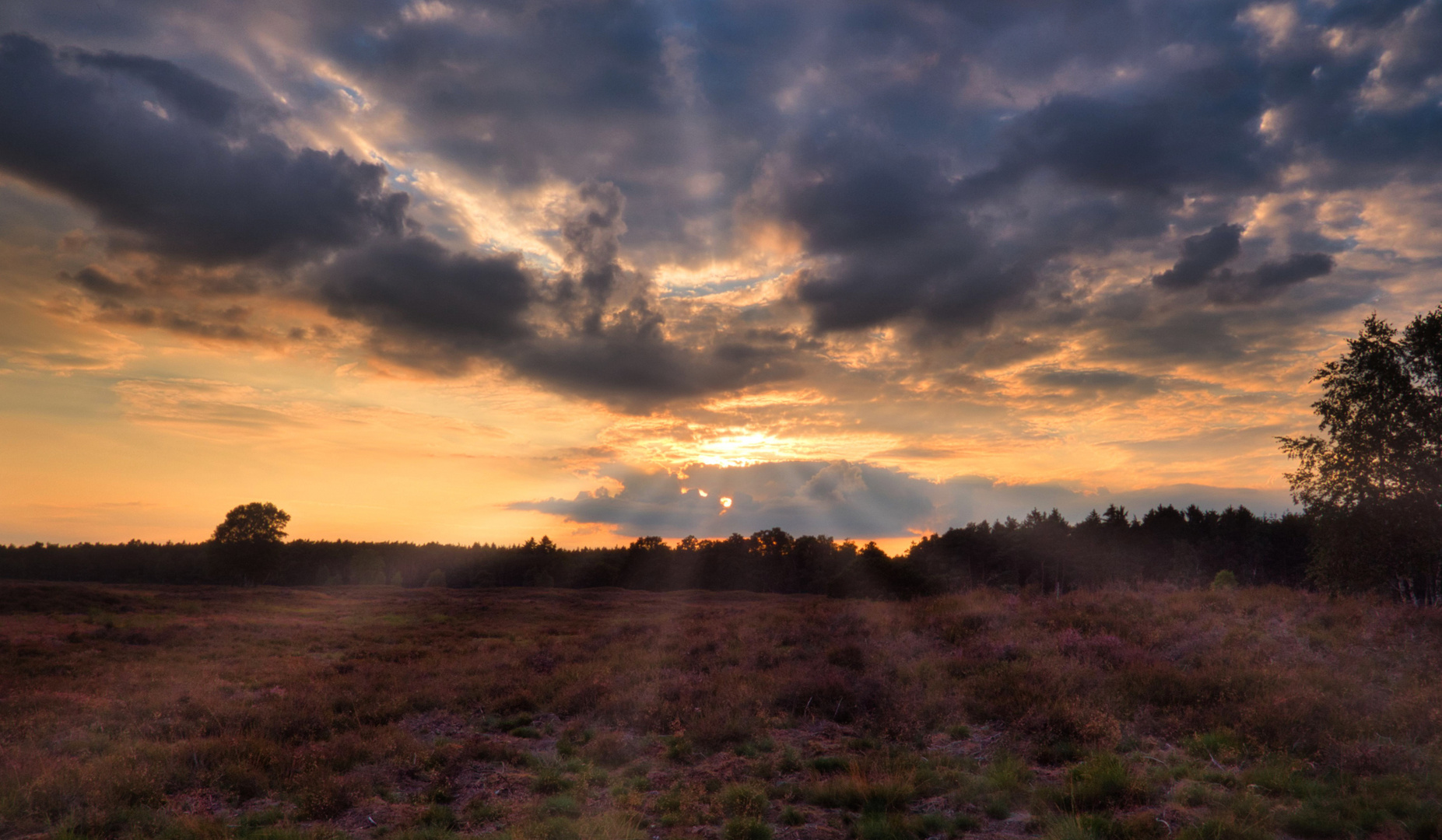 Sonnenuntergang über der Heide 