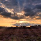 Sonnenuntergang über der Heide 