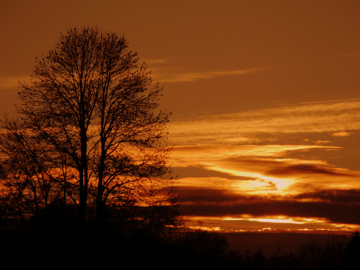 Sonnenuntergang über der Heimbachsiedlung