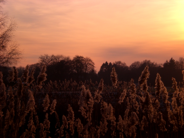 Sonnenuntergang über der Hunte