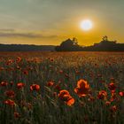 Sonnenuntergang über der Mühle