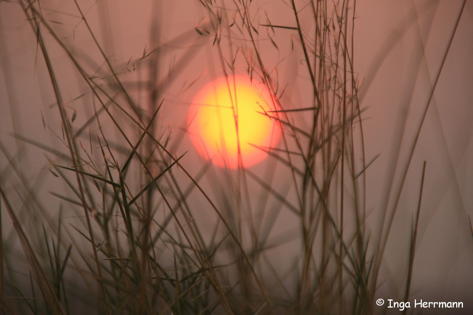 Sonnenuntergang über der Namib