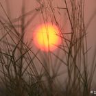 Sonnenuntergang über der Namib