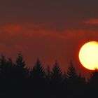 Sonnenuntergang über der Nordeifel