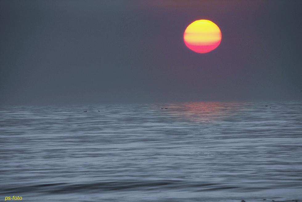 Sonnenuntergang über der Nordsee!