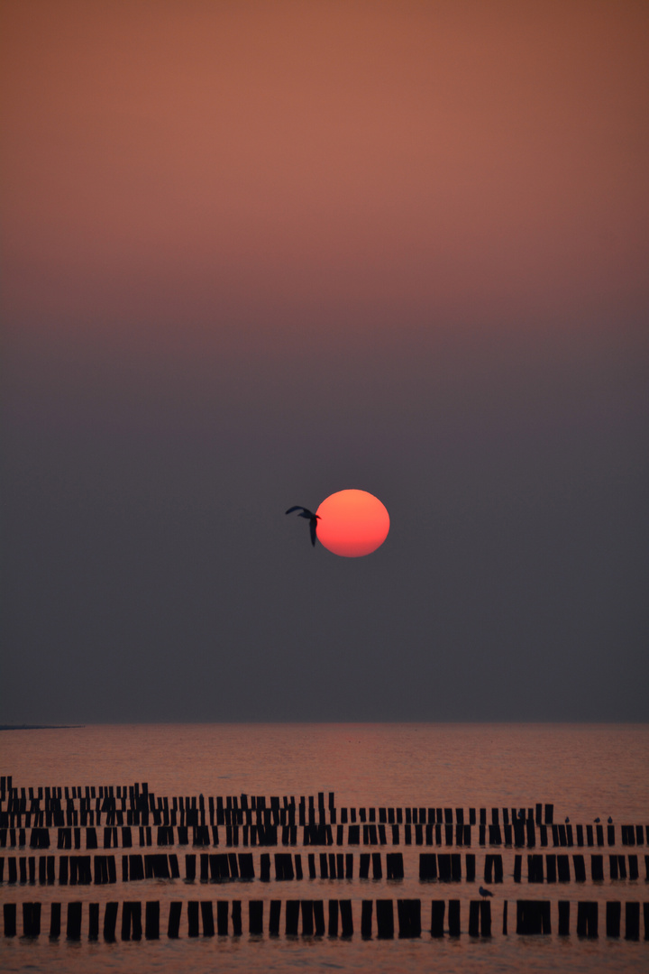 Sonnenuntergang über der Ostsee