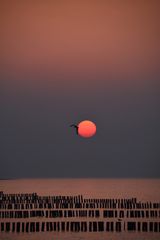 Sonnenuntergang über der Ostsee