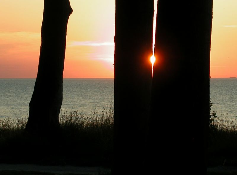 Sonnenuntergang über der Ostsee (Ostseebad Nienhagen) von Karl Adrion