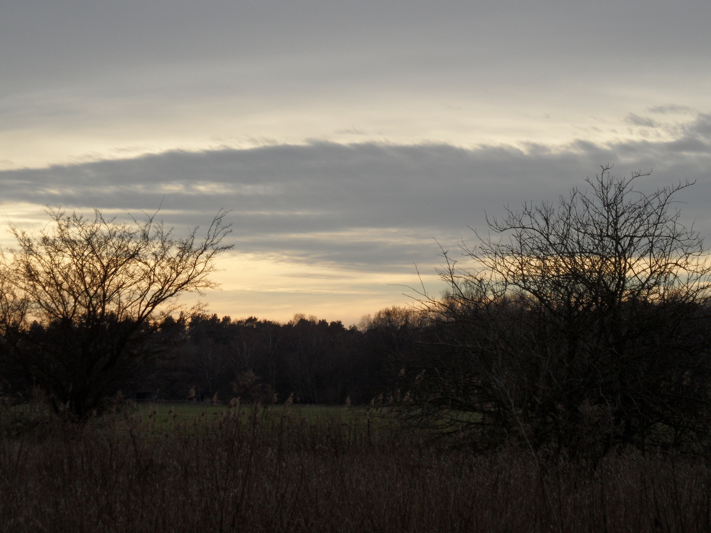 Sonnenuntergang über der Pferdekoppel in Dallgow-Döberitz