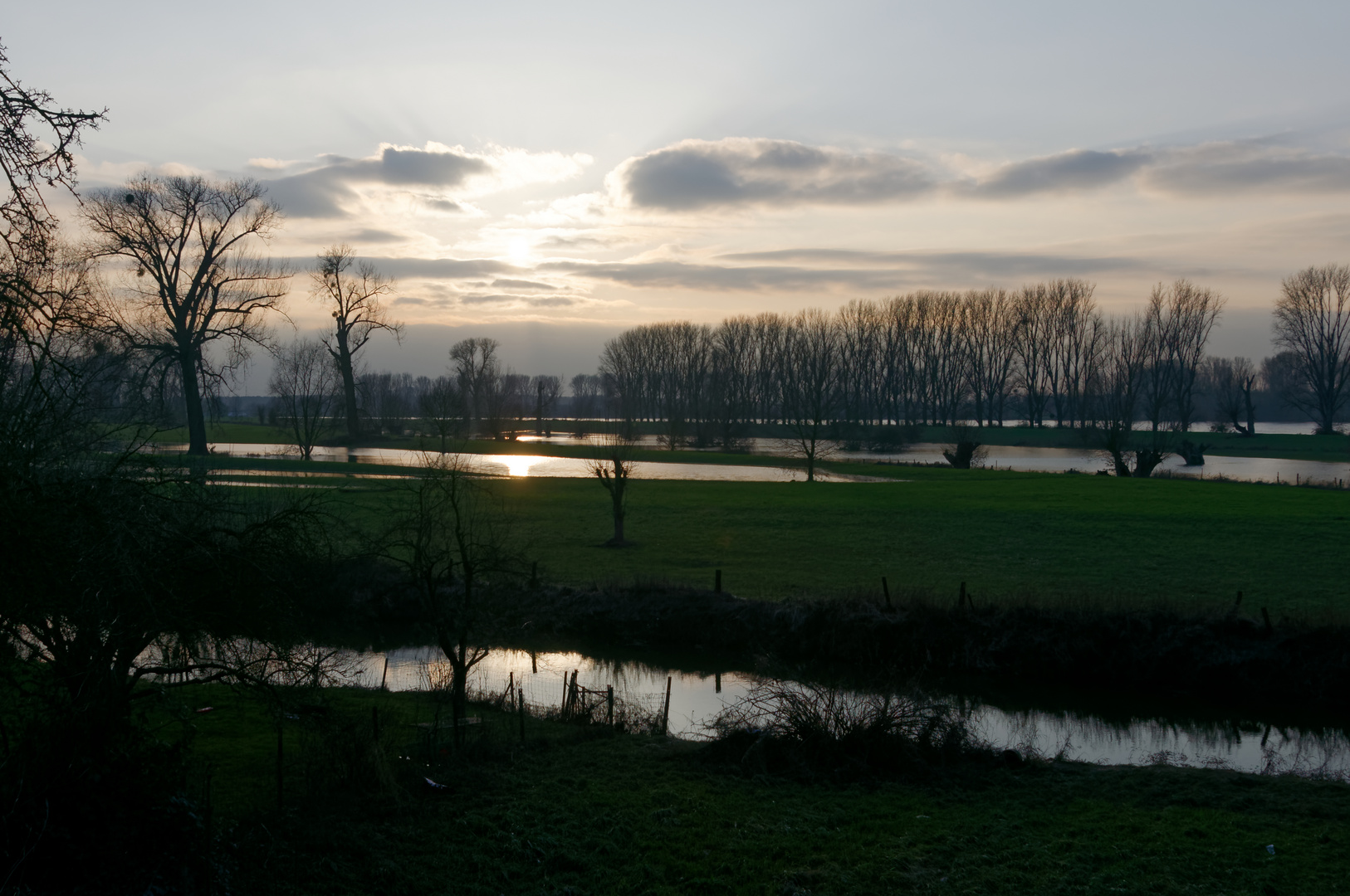 Sonnenuntergang über der Rheinaue