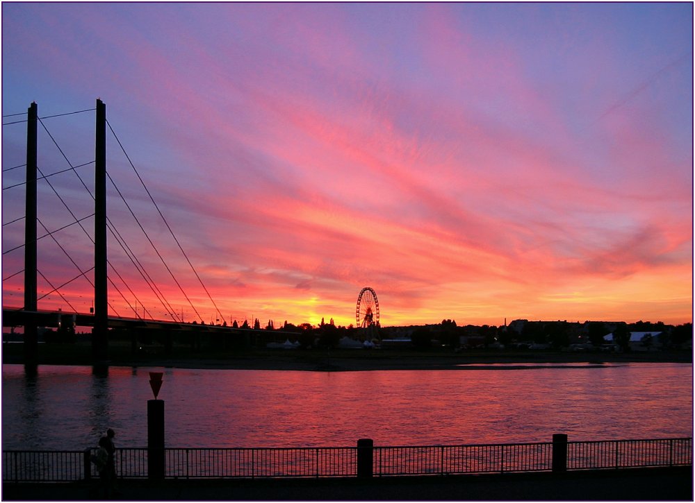 Sonnenuntergang über der Rheinkniebrücke