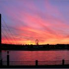 Sonnenuntergang über der Rheinkniebrücke