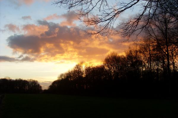 Sonnenuntergang über der Rottheide