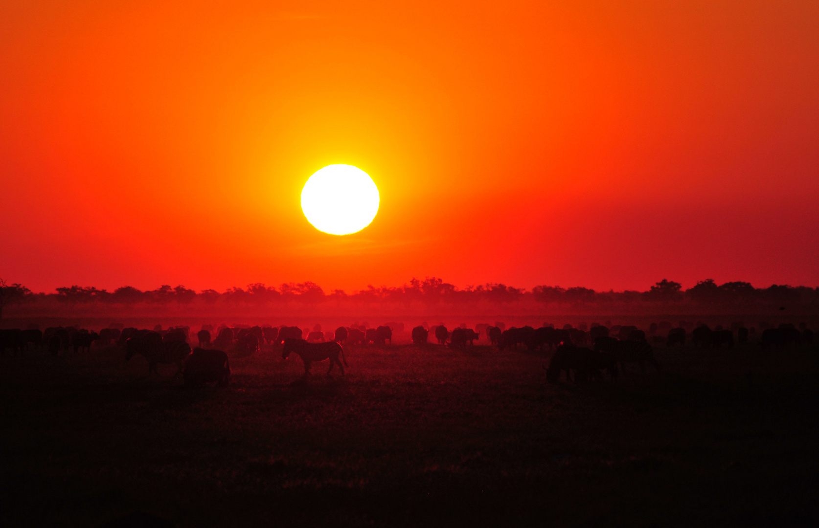 Sonnenuntergang über der Savanne