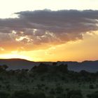 ...Sonnenuntergang über der Serengeti...