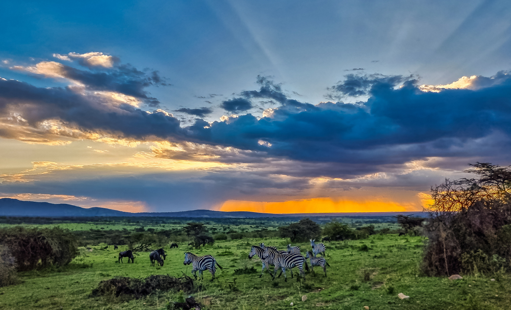 Sonnenuntergang über der Serengeti