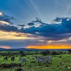 Sonnenuntergang über der Serengeti