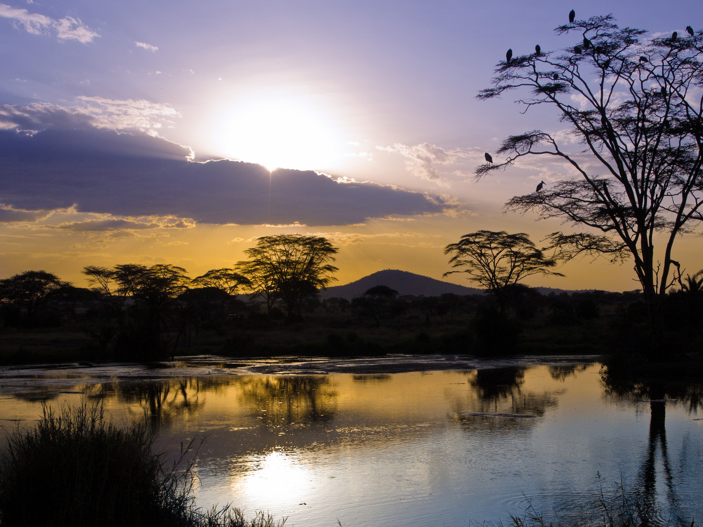 Sonnenuntergang über der Serengeti - wo auch sonst