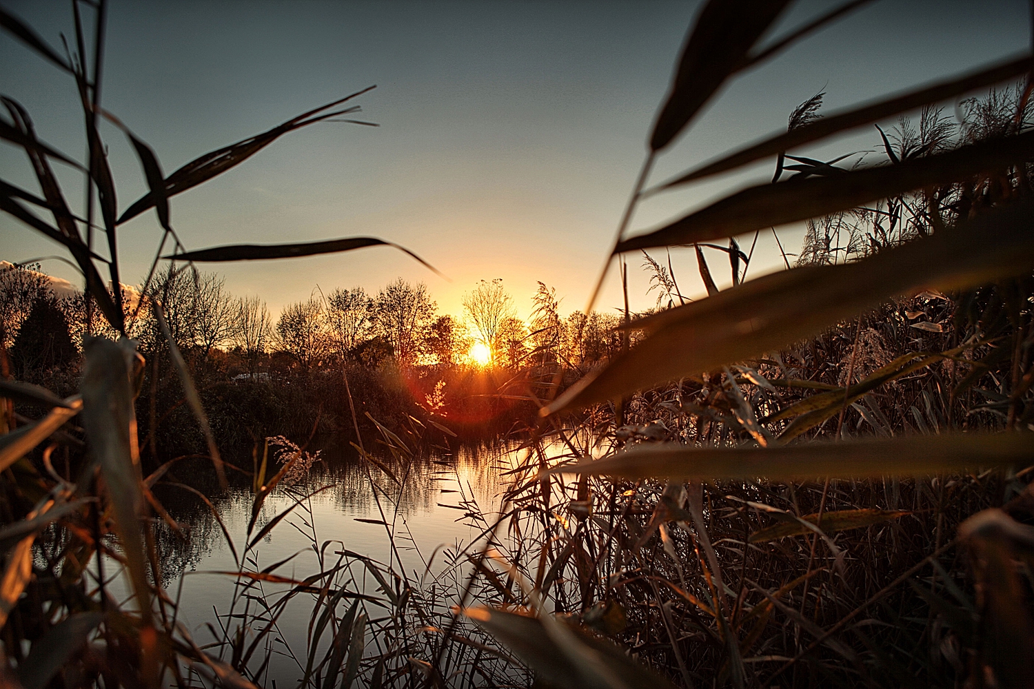 Sonnenuntergang über der Südpfalz