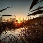 Sonnenuntergang über der Südpfalz