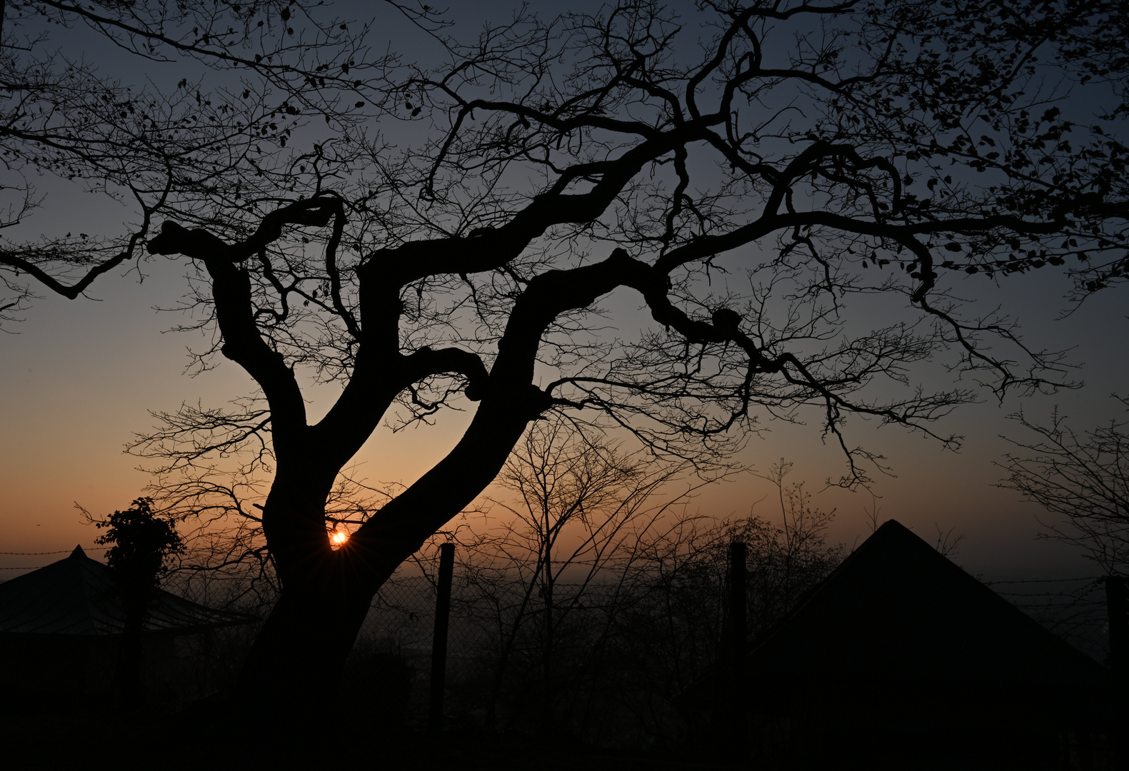 Sonnenuntergang über der Veitsburg Ravensburg