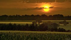 Sonnenuntergang über die Felder