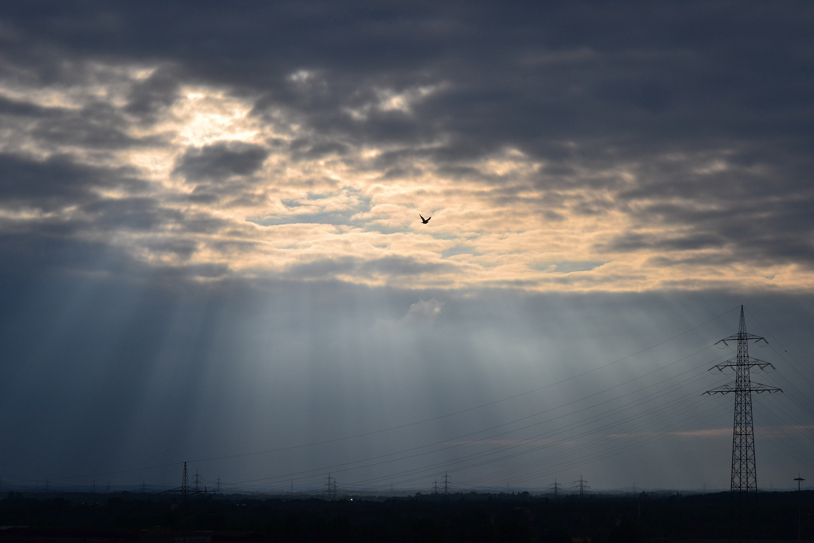 Sonnenuntergang über Duisburger Industriegebiet