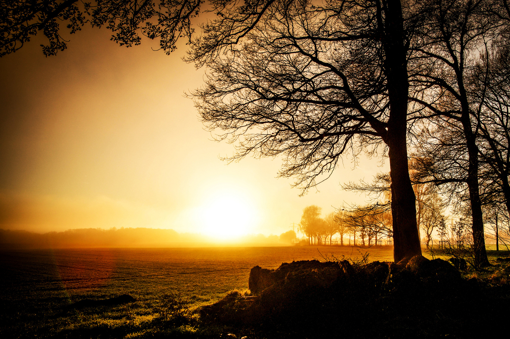 Sonnenuntergang über einem Feld