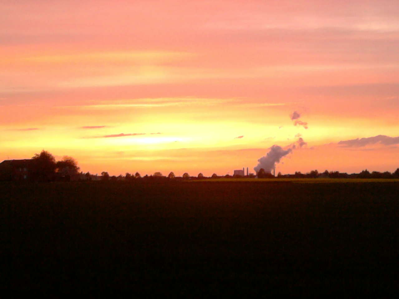 Sonnenuntergang über einem Rapsfeld