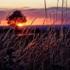 Sonnenuntergang über Erfurt